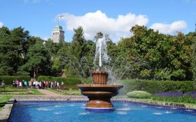 Söderlångvik & Kultarannan puutarha