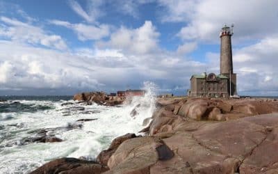 Haahkasafari Bengtskärin majakalle 2026