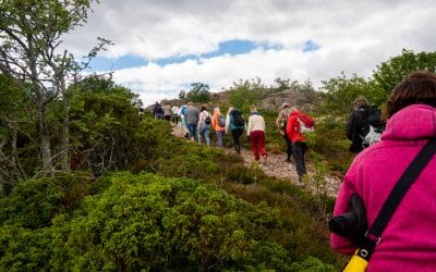 Ahvenanmaan Kökar – hinta alk. 289€/hlö