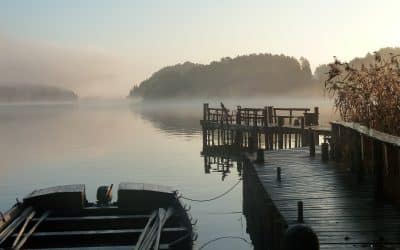 Herrankukkaro- Savusaunatapahtuma