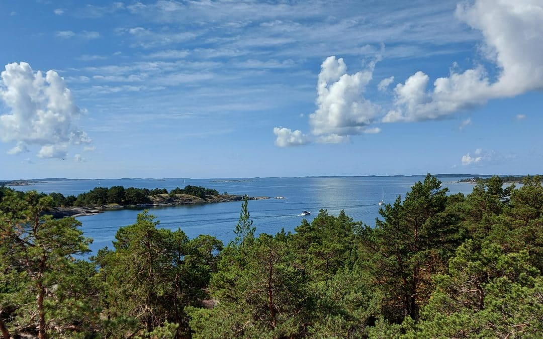 Puiden latvojen takana merimaisema Bränsskärissä.