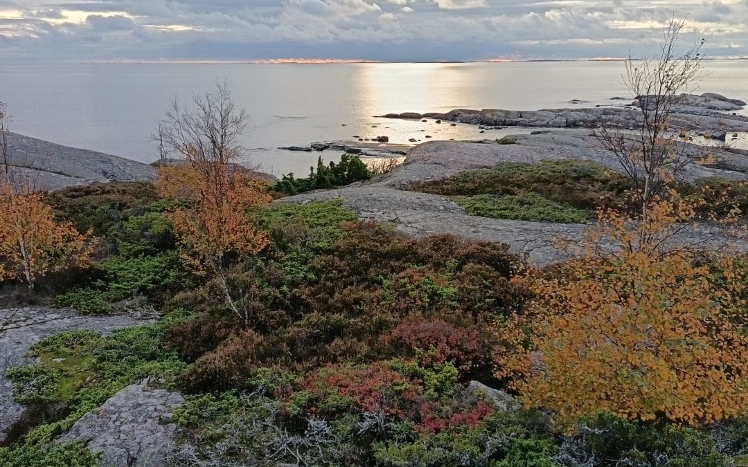 Ruskan värejä saaristossa.